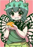  1girl antennae aqua_hair blush brown_eyes butterfly_wings dress emina eternity_larva eyebrows_visible_through_hair fairy food fruit green_dress grin hair_between_eyes highres holding holding_food holding_fruit leaf leaf_on_head multicolored_clothes multicolored_dress orange_(fruit) short_hair short_sleeves smile solo third-party_source touhou upper_body wings 