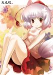  animal_ears barefoot detached_sleeves hat inubashiri_momiji lowres red_eyes short_hair silver_hair siukaukau siukaukau24 solo tail tokin_hat touhou wolf_ears wolf_tail 