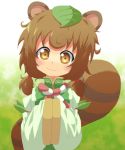  animal_ears brown_hair highres leaf midori_roku original raccoon_ears raccoon_tail roku_(touhou) silane tail tanuki touhou 
