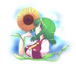  breasts flower green_hair highres kazami_yuuka large_breasts oohira_sansetto profile red_eyes short_hair solo sunflower touhou vest 