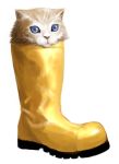  blue_eyes boot boots cat cat_focus lowres no_humans pun too_literal yotarou 