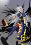  asymmetrical_clothing book facial_mark feathers fingerless_gloves gloves head_wings mahou_shoujo_lyrical_nanoha mahou_shoujo_lyrical_nanoha_a&#039;s red_eyes reinforce schwertkreuz silver_hair single_thighhigh thigh-highs tome_of_the_night_sky 
