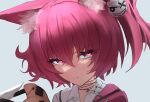  1girl animal_ear_fluff animal_ears arknights bangs closed_mouth collared_shirt commentary_request eyebrows_visible_through_hair grey_background hair_between_eyes highres looking_at_viewer mal_(malqsm) portrait purple_hair shamare_(arknights) shirt simple_background solo violet_eyes white_shirt 