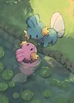 alternate_color closed_mouth commentary_request day eye_contact from_above grass highres ii_ebidashi lily_pad looking_at_another mudkip no_humans outdoors pokemon pokemon_(creature) shiny_pokemon smile water 