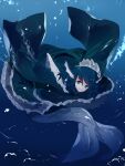  1girl animal_ears blue_eyes blue_hair drill_hair full_body head_fins highres ikurauni japanese_clothes kimono long_sleeves looking_at_viewer mermaid monster_girl obi sash short_hair solo touhou underwater wakasagihime water wide_sleeves 