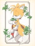  1boy blush closed_eyes closed_mouth fox_boy fox_tail male_focus mint misuta710 multiple_tails smile solo sonic_(series) tail tails_(sonic) two_tails 