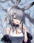  1girl :d alternate_costume alternate_hairstyle animal_ears arknights blue_background branch breasts china_dress chinese_clothes dress feather_boa frostnova_(arknights) grey_eyes grey_hair hair_ornament hair_over_one_eye hairclip hand_up highres long_hair medium_breasts open_mouth ponytail rabbit_ears scar scar_on_arm scar_on_face scar_on_hand scar_on_nose sidelocks sleeveless sleeveless_dress smile solo spacelongcat tassel upper_body white_dress 
