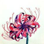  flower graphite_(medium) original pen_(medium) plant rokki_hero spider_lily traditional_media 