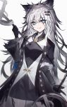  1girl absurdres animal_ear_fluff animal_ears arknights bangs black_dress black_jacket breasts diieru dress dual_wielding eyebrows_visible_through_hair fur-trimmed_sleeves fur_trim grey_background grey_hair hair_between_eyes highres holding holding_sword holding_weapon jacket lappland_(arknights) long_hair long_sleeves looking_at_viewer open_clothes open_jacket parted_lips scar scar_across_eye simple_background small_breasts solo sword very_long_hair weapon wide_sleeves 