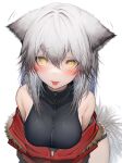  1girl :p absurdres animal_ears arknights black_swimsuit blush breasts casual_one-piece_swimsuit eyebrows_visible_through_hair fur-trimmed_jacket fur_trim grey_hair hair_between_eyes highres jacket looking_at_viewer medium_breasts off_shoulder one-piece_swimsuit open_clothes open_jacket projekt_red_(arknights) projekt_red_(light_breeze)_(arknights) red_jacket solo straight-on swimsuit tab_head tongue tongue_out upper_body white_background wolf_ears yellow_eyes 