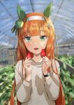  1girl absurdres animal_ears bangs blunt_bangs blurry blurry_background blush_stickers food fruit greenhouse hairband hands_up highres holding holding_food horei_tsuna horse_ears indoors long_hair long_sleeves looking_at_viewer open_mouth orange_hair plant silence_suzuka_(umamusume) smile solo strawberry sweater umamusume upper_body watch watch 
