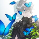  1girl bangs blue_butterfly blue_eyes bug butterfly clothing_request hair_over_one_eye kusaka_kou leaf long_sleeves original short_hair solo teardrop tearing_up tears white_hair 