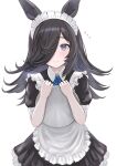  1girl animal_ears apron black_dress black_hair blue_ribbon closed_mouth dress enumiyaa flying_sweatdrops grey_eyes hair_over_one_eye highres holding holding_tray horse_ears looking_at_viewer maid_apron maid_headdress neck_ribbon ribbon rice_shower_(umamusume) short_sleeves simple_background smile solo tray umamusume upper_body white_background 