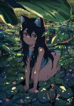  1girl absurdres animal_ears artist_name bangs black_hair blush cat_ears cat_girl english_commentary engrish_commentary flat_chest green_eyes highres kgt_(pixiv12957613) kneeling leaf lily_pad long_hair looking_at_viewer open_mouth original panties partially_submerged shadow solo underwear water wet 