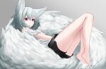  1girl animal_ear_fluff animal_ears bangs bare_legs barefoot black_shorts closed_mouth commentary_request eyebrows_visible_through_hair fox_ears fox_girl fox_tail full_body grey_background grey_hair hair_between_eyes highres looking_at_viewer original shirt short_shorts short_sleeves shorts simple_background slit_pupils solo tail violet_eyes white_shirt you_san 
