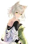  animal_ear_fluff animal_ears arknights bangs bare_back cat_ears closed_mouth commentary_request dress eyebrows from_behind from_side green_dress green_eyes green_hair highres jacket kal&#039;tsit_(arknights) medium_hair myudo-0323 off-shoulder_jacket off_shoulder oripathy_lesion_(arknights) sidelocks silver_hair simple_background staring white_jacket 