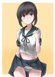  1girl black_hair blue_sailor_collar blue_skirt clothes_lift fubuki_(kancolle) green_eyes highres kamaboko_senshi kantai_collection lifted_by_self long_hair looking_at_viewer low_ponytail panties pleated_skirt ponytail sailor_collar school_uniform serafuku short_ponytail sidelocks skirt skirt_lift solo underwear white_panties 