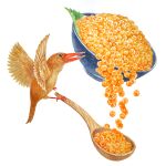  absurdres animal bird bird_request food food_focus highres kanou_(pixiv_37964562) no_humans painting_(medium) roe spoon traditional_media watercolor_(medium) 