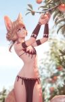  1girl animal_ear_fluff animal_ears armband blonde_hair blurry blurry_background branch commentary cowboy_shot day ear_piercing english_commentary flat_chest food fruit highres jewelry khiara_(personal_ami) leaf light_smile long_hair looking_away low_twintails navel necklace original outdoors peach pelvic_curtain personal_ami picking_fruit piercing solo tail twintails yellow_eyes 