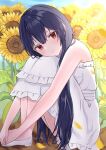  1girl dark_blue_hair dress expressionless flower head_tilt highres idolmaster idolmaster_shiny_colors knees_up koshikoshikossi long_hair looking_at_viewer morino_rinze outdoors own_hands_together red_eyes sitting solo straight_hair sunflower white_dress 