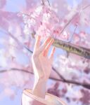  1other arm_up blurry blurry_background cherry_blossoms commentary hand_up highres jenmin12 long_sleeves original photorealistic pink_theme realistic solo 