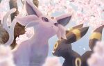  :&lt; blurry closed_eyes closed_mouth commentary_request day espeon falling_petals flower fluffy from_below momomo12 no_humans outdoors petals pink_flower pokemon pokemon_(creature) tree umbreon violet_eyes 