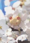  arm_support blurry branch cherrim cherrim_(sunshine) commentary_request depth_of_field flower hand_up highres no_humans open_mouth papiko_(inko_910) pink_eyes pokemon pokemon_(creature) solo tearing_up tongue white_flower 