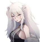  1girl animal_ears bare_shoulders breasts earrings fang fur_trim grey_eyes highres hololive jewelry kasoku_souchi lion_ears long_hair looking_at_viewer necklace off_shoulder open_mouth shishiro_botan simple_background solo virtual_youtuber white_background white_hair 