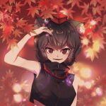  1girl alternate_color alternate_hair_color animal_ears arm_up autumn_leaves black_hair black_shirt breasts commentary_request hat inubashiri_momiji looking_at_viewer midriff open_mouth outdoors red_eyes red_headwear shirt short_hair sleeveless sleeveless_shirt taeminhyeon tokin_hat touhou turtleneck wolf_ears zipper zipper_pull_tab 