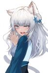  1girl absurdres animal_ear_fluff animal_ears bangs blue_eyes blue_flower blue_nails blush breasts cat_ears chinese_clothes claw_pose commission commissioner_upload eyebrows_visible_through_hair fang flower hair_bun hair_flower hair_ornament hand_up highres indie_virtual_youtuber kei8987 long_hair long_sleeves looking_at_viewer looking_back medium_breasts nail_polish open_mouth sash shei_(vtuber) silver_hair simple_background skeb_commission solo tail tsurime virtual_youtuber white_background 