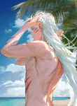  1boy arms_up beach blue_sky body_markings day facial_mark from_behind hands_in_hair highres horizon inuyasha lens_flare long_hair male_focus median_furrow mmmilk outdoors palm_tree pectorals pointy_ears sesshoumaru sidepec signature sky solo toned toned_male topless_male tree twitter_username white_hair yellow_eyes 