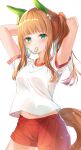  1girl animal_ears arms_behind_head arms_up blush breasts brown_hair closed_mouth commentary_request green_eyes groin gym_shirt gym_shorts gym_uniform hair_tie hair_tie_in_mouth highres horse_ears horse_girl horse_tail long_hair looking_at_viewer mouth_hold navel ponytail red_shorts rukinya_(nyanko_mogumogu) shirt short_shorts short_sleeves shorts silence_suzuka_(umamusume) simple_background small_breasts solo tail tying_hair umamusume white_background white_shirt 