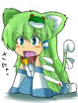  animal_ears bell blue_eyes blush cat_ears collar detached_sleeves fang frog green_hair hair_ornament japanese_clothes kochiya_sanae long_hair miko open_mouth snake solo tail touhou 
