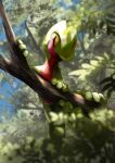  blurry branch commentary_request day in_tree leaf no_humans open_mouth outdoors pokemon pokemon_(creature) rukiruku solo tongue tongue_out tree treecko yellow_eyes 