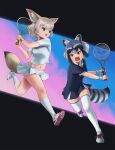  2girls animal_ears ball beleven blonde_hair blue_dress blush brown_eyes collared_dress commentary_request common_raccoon_(kemono_friends) dress extra_ears eyebrows_visible_through_hair fennec_(kemono_friends) fox_ears fox_girl fox_tail grey_hair highres kemono_friends kemono_friends_3 midriff multicolored_hair multiple_girls navel open_mouth paw_print_soles pleated_dress pleated_skirt raccoon_ears raccoon_girl raccoon_tail racket shirt shoes short_hair short_sleeves skirt sneakers socks sportswear sweatdrop tail tennis_ball tennis_racket tennis_skirt tennis_uniform thigh-highs white_hair white_legwear white_shirt white_skirt wristband zettai_ryouiki 
