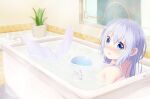  1girl absurdres bangs bath bathing bathroom bathtub blue_eyes blue_hair blush commentary_request completely_nude dated eyebrows_visible_through_hair flower_pot glass gochuumon_wa_usagi_desu_ka? hair_between_eyes highres kafuu_chino long_hair looking_at_viewer looking_back mermaid monster_girl nude open_mouth partially_submerged plant solo troll_z0r window 