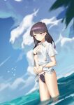  1girl absurdres bikini bikini_under_clothes black_eyes black_hair blush breasts clouds collared_shirt day expressionless flock highres komi-san_wa_komyushou_desu komi_shouko long_hair looking_at_viewer outdoors parted_lips see-through shirt short_sleeves sky small_breasts solo swimsuit wading water wet wet_clothes white_shirt zhimalin_da 