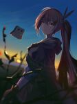  backlighting blurry brown_capelet brown_cloak brown_corset brown_eyes brown_hair capelet cloak corset dagger depth_of_field feather_hair_ornament feathers friend_(nanashi_mumei) gloves hair_ornament hairclip hieroglyphics highres hololive hololive_english horizon kaihaku_(kaihaku2001) knife looking_at_viewer multicolored_hair nanashi_mumei partially_fingerless_gloves plant red_skirt ribbon shirt skirt sky smile streaked_hair sunrise twilight virtual_youtuber weapon white_shirt 