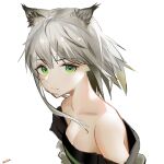  1girl animal_ears arknights bangs bare_shoulders cat_ears commentary dress eyebrows_visible_through_hair green_eyes highres kal&#039;tsit_(arknights) looking_at_viewer mackia off-shoulder_dress off_shoulder short_hair silver_hair simple_background solo upper_body white_background 