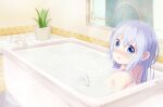  1girl absurdres bangs bath bathing bathroom bathtub blue_eyes blue_hair blush commentary_request completely_nude dated eyebrows_visible_through_hair flower_pot glass gochuumon_wa_usagi_desu_ka? hair_between_eyes highres kafuu_chino long_hair looking_at_viewer looking_back nude open_mouth partially_submerged plant solo troll_z0r window 