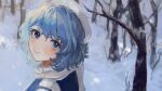  1girl b_nosk101 bangs bare_tree blue_eyes blue_hair blush closed_mouth day hair_between_eyes hat head_tilt highres letty_whiterock looking_at_viewer outdoors short_hair smile snow snowflakes snowing solo touhou tree winter 