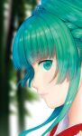  1girl bangs blunt_bangs blurry blurry_background braid commentary eyelashes face green_eyes green_hair hime_cut japanese_clothes kageharu kagiyama_hina kimono lips looking_at_viewer looking_to_the_side profile sidelocks solo touhou 