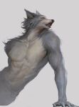  1boy absurdres arm_support beastars commentary facing_to_the_side fang furry furry_male grey_background highres leaning_to_the_side legoshi male_focus open_mouth profile scar scar_across_eye scar_on_face simple_background sitting solo topless_male upper_body wolf_boy zzhenliu 