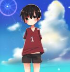  1boy animal_crossing black_shorts blush brown_hair child clouds eyebrows_visible_through_hair highres looking_at_viewer numbered red_shirt shirt short_hair shorts sky solo sunlight user_fmwc5838 v-neck villager_(animal_crossing) 