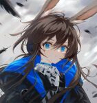  1girl amiya_(arknights) animal_ears arknights black_coat blood blood_on_face blue_choker blue_eyes brown_hair choker closed_mouth clouds cloudy_sky coat day eyebrows_visible_through_hair feathers grey_necktie highres injury long_hair looking_at_viewer low_ponytail motion_blur necktie official_alternate_costume outdoors rabbit_ears sidelocks sky solo spacelongcat striped_necktie upper_body wing_collar 
