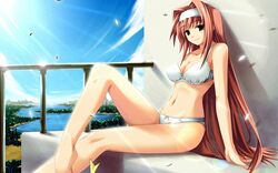  bikini brown_hair hiiragi_natsuki hinatabokko long_hair swimsuit tenmaso 