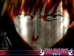  bleach kurosaki_ichigo tagme 