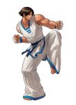  kim_kaphwan king_of_fighters male nona tagme 