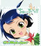  blue_hair chu-bra!! disc_cover green_eyes jinguuji_yako seifuku 