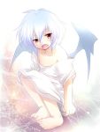  bat_wings blue_hair fujisaki_hikari highres remilia_scarlet short_hair solo touhou wings 